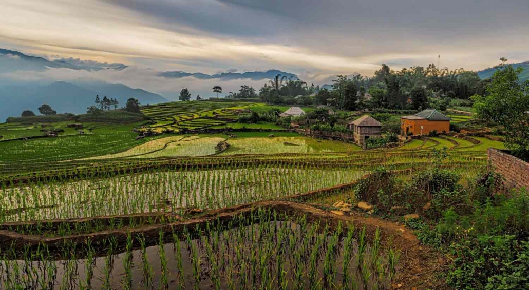 Vietnam Kaffee