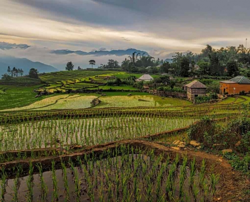 Vietnam Kaffee